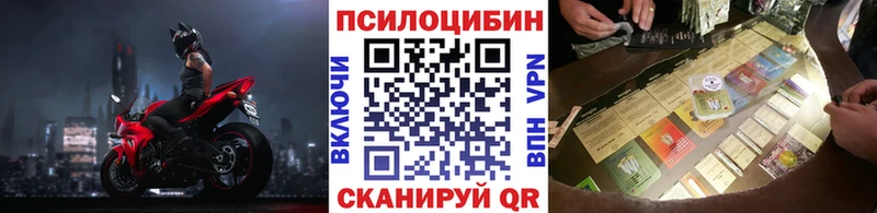 Галлюциногенные грибы мицелий  цены   Сургут 